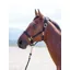 Shires Topaz Pony Nylon Headcollar in Black