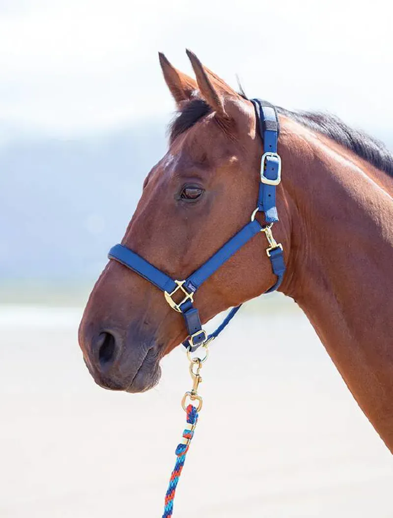 Shires Topaz Cob Nylon Headcollar In Blue