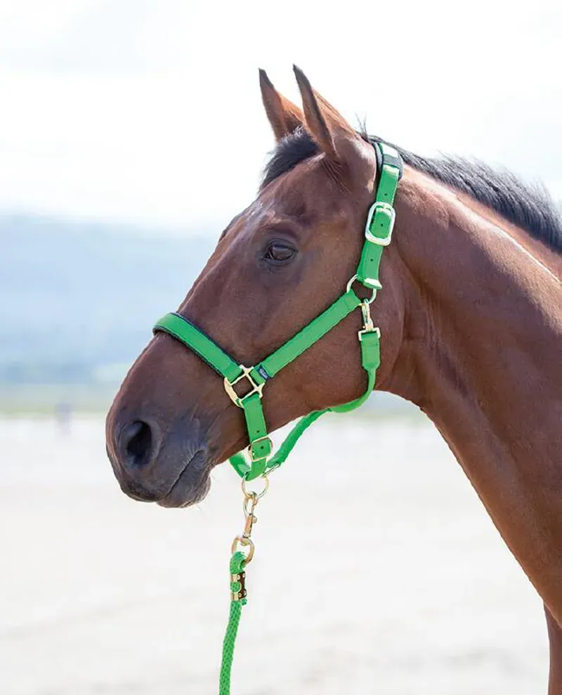 Shires Topaz Full Nylon Headcollar in Green