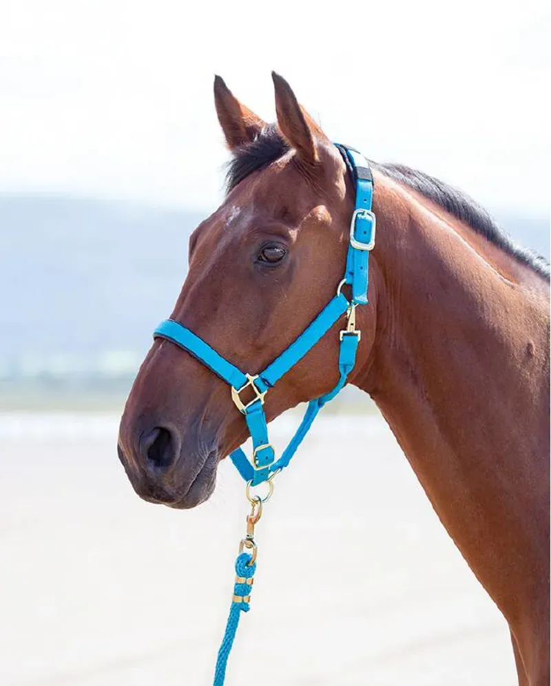 Shires Topaz X Full Nylon Headcollar In Blue
