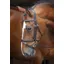 Velociti Padded Raised Flash Bridle in Black