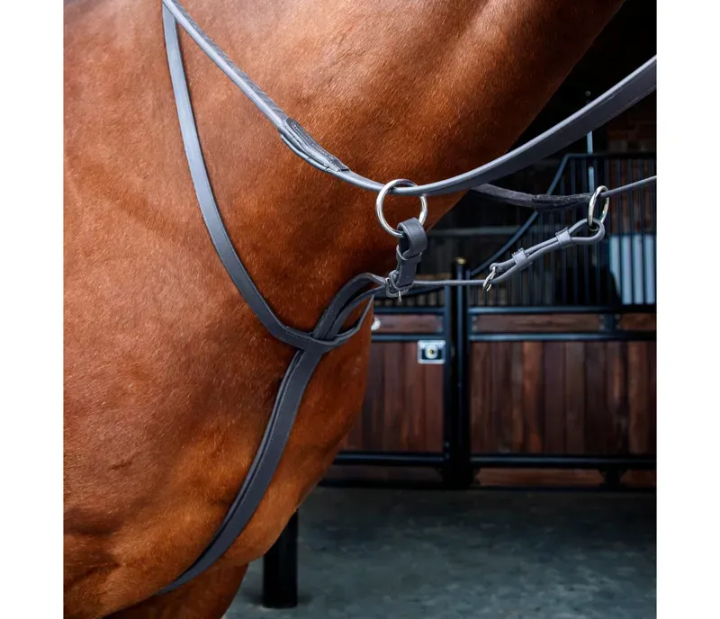 Velociti Running Martingale in Black