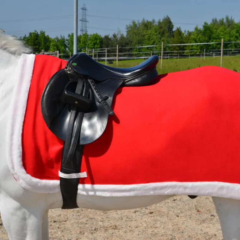 Hy Equestrian Christmas Santa Exercise Sheet - - Red/White-1