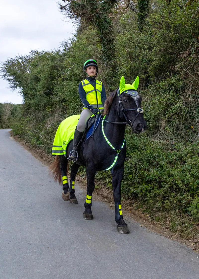 Woofwear L.E.D. Neck Band HiViz Yellow M/L-1