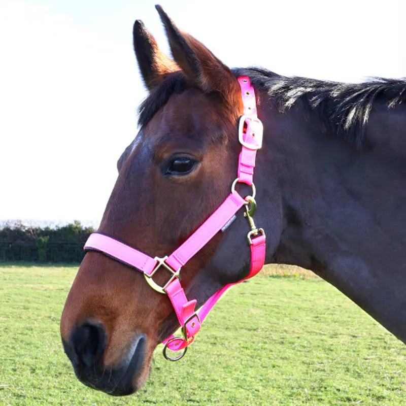 Hy Equestrian Grand Prix Head Collar - - Hot Pink-1