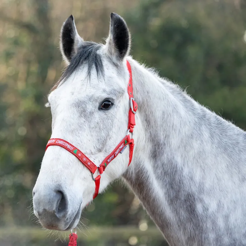 Hy Equestrian Merry Christmas Head Collar and Lead Rope Red-1