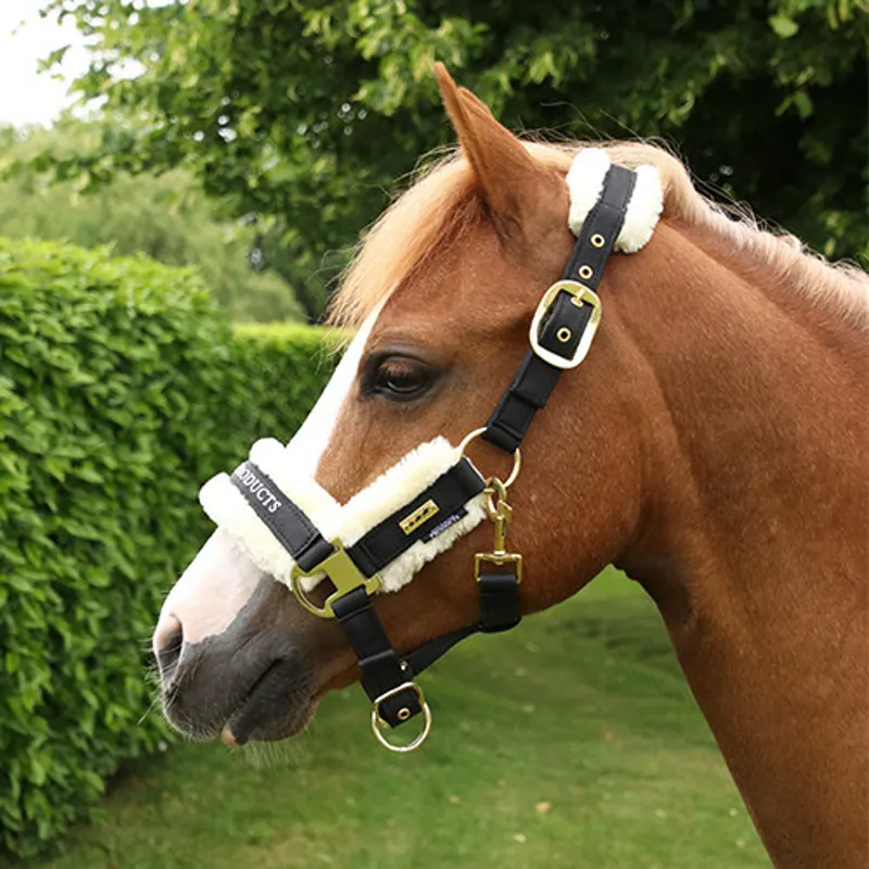 Supreme Products Royal Occasion Head Collar - - Black-2