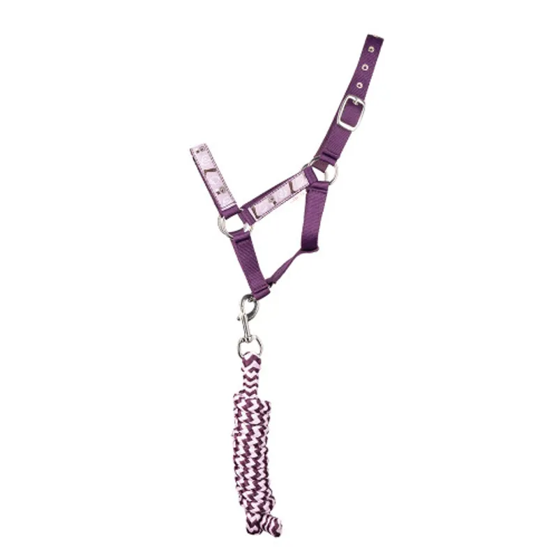 Giddy Up Gymkhana Head Collar and Lead Rope Set By Little Rider - - Purple/Lilac
