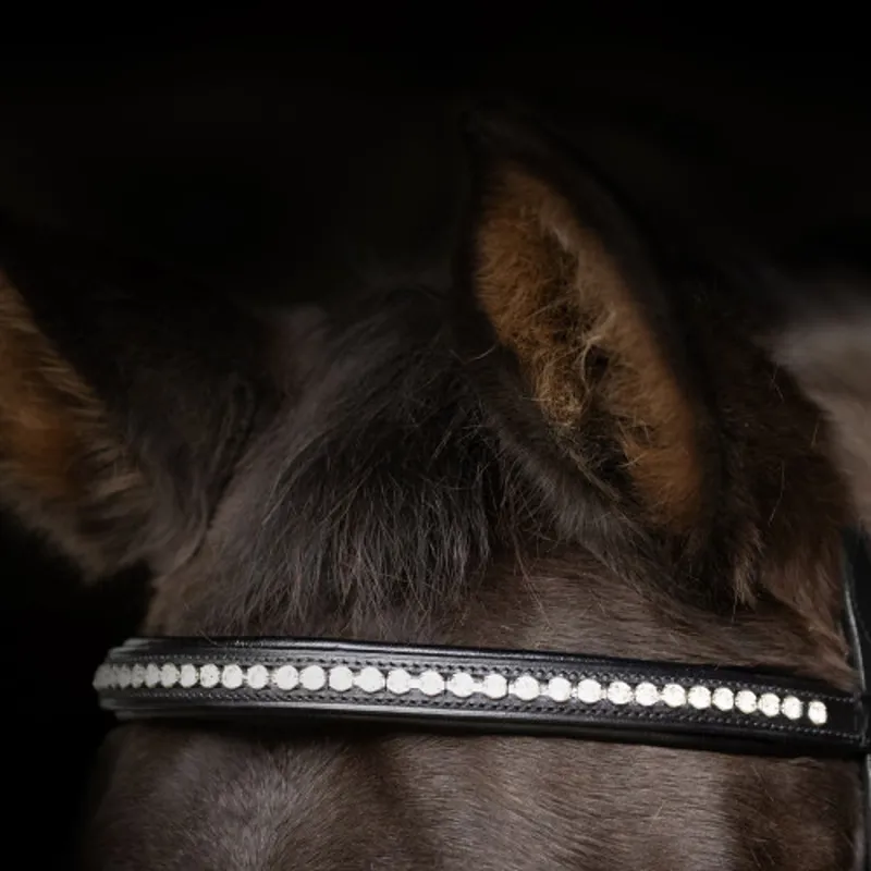 ProPresicce Signature Classic Diamante Browband By Hy Equestrian - With Silver Diamantes - Black-1