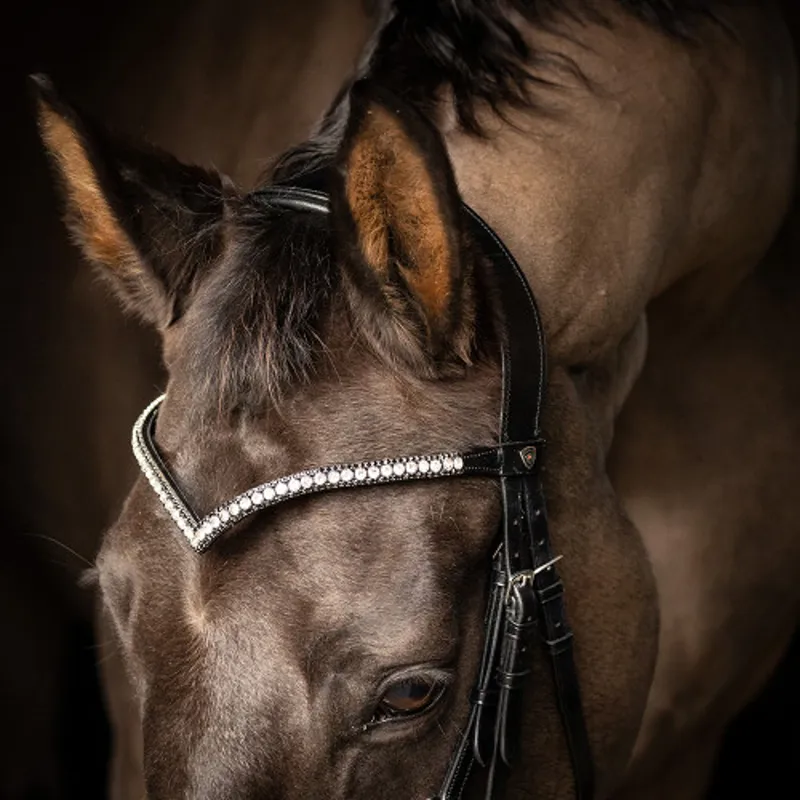 ProPresicce Signature V Diamante Browband By Hy Equestrian - With Silver Diamantes - Black-2