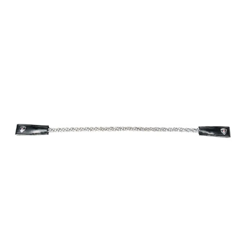 ProPresicce Signature Crystal Diamante Browband By Hy Equestrian - - Silver-1