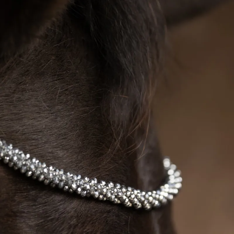 ProPresicce Signature Crystal Diamante Browband By Hy Equestrian - - Silver-3