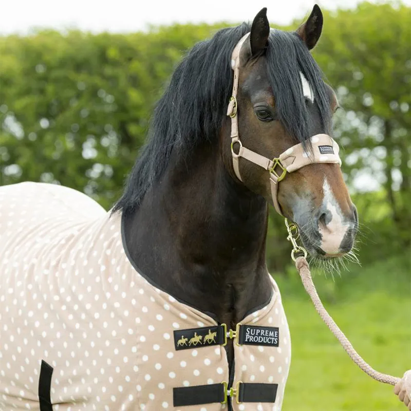 Supreme Products Dotty Fleece Rug - - Luxurious Latte