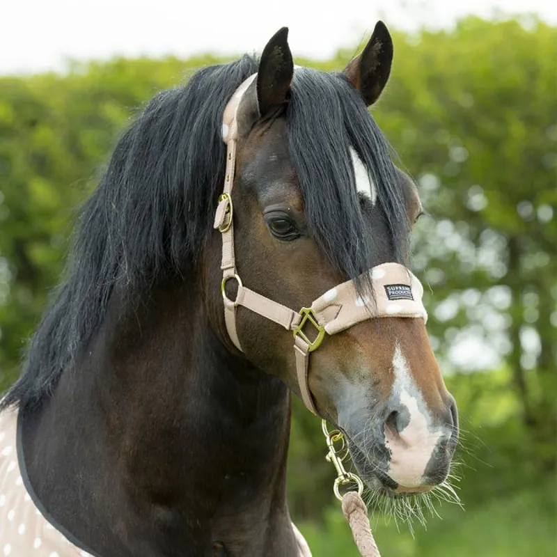 Supreme Products Dotty Fleece Head Collar and Lead Rope - - Luxurious Latte