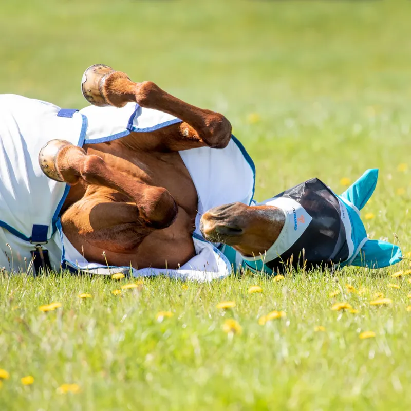 FlyGuard Pro Fine Mesh Fly Mask With Ears TEAL-2