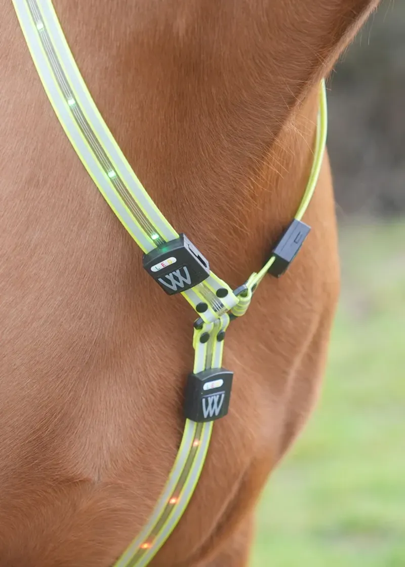 Woofwear L.E.D. Neck Band HiViz Yellow M/L