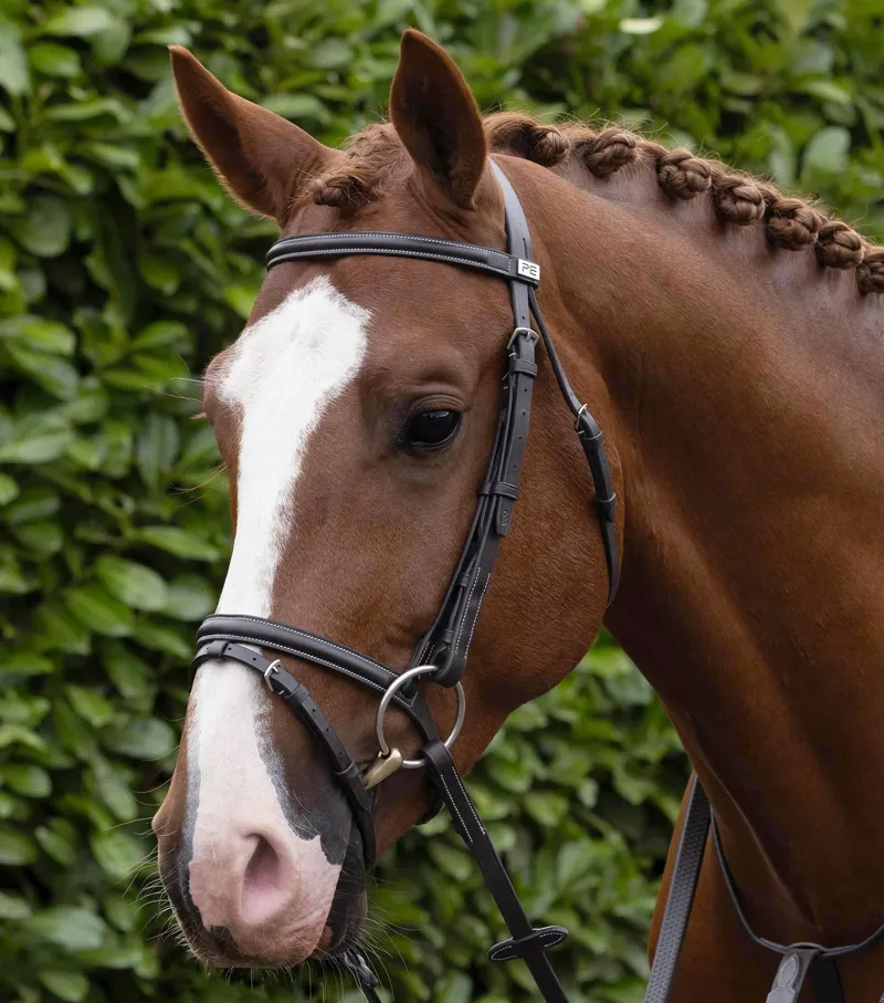 Premier Equine Raised Jumping Bridle with Flash Noseband Dark Havana