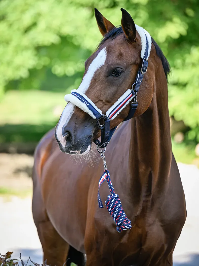 Tommy Hilfiger Kennedy Faux Fur Halter Rope Set-3