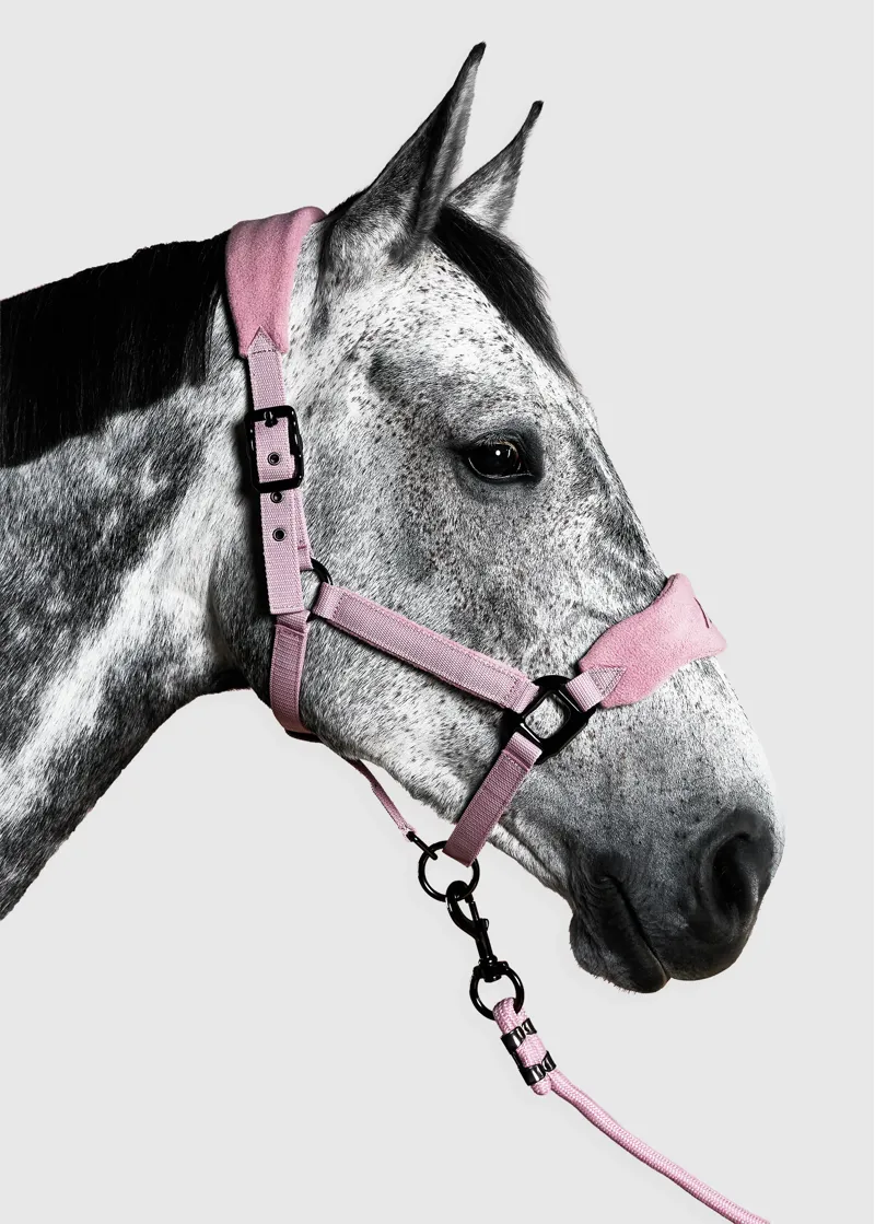 Aztec Diamond Yr Pink Panel Head Collar
