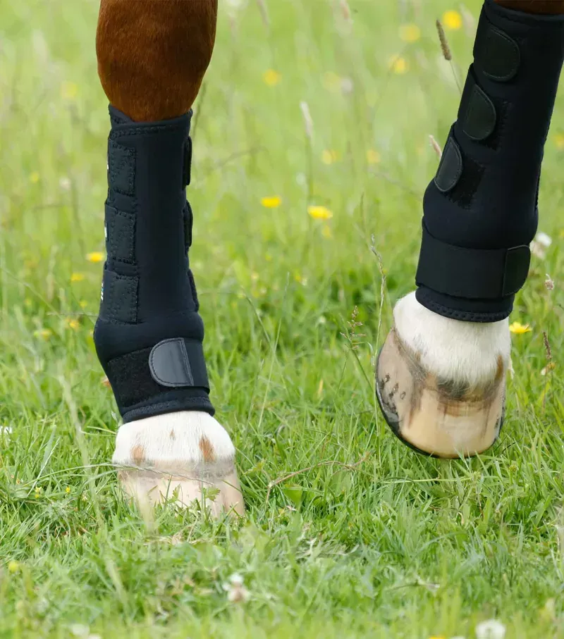 Premier Equine Turnout Boots in Black-1